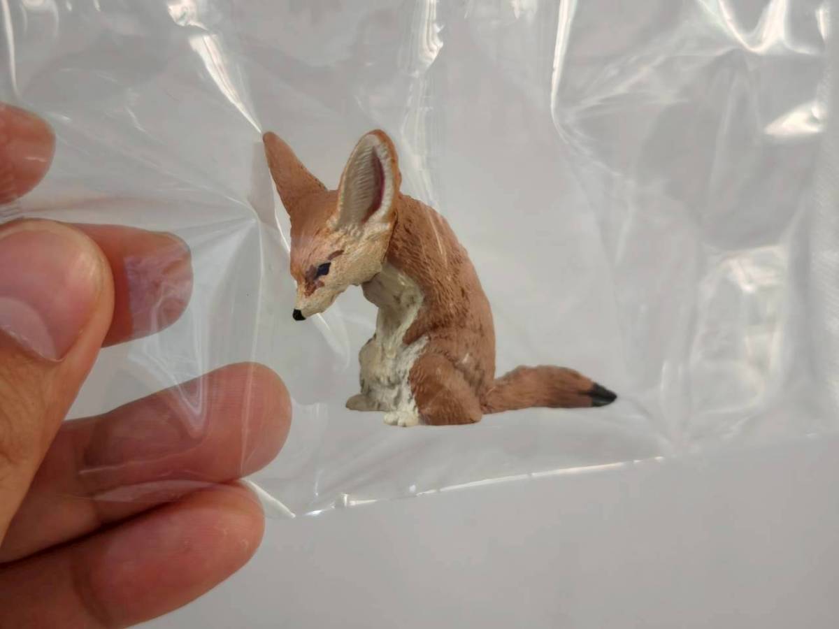 Animal