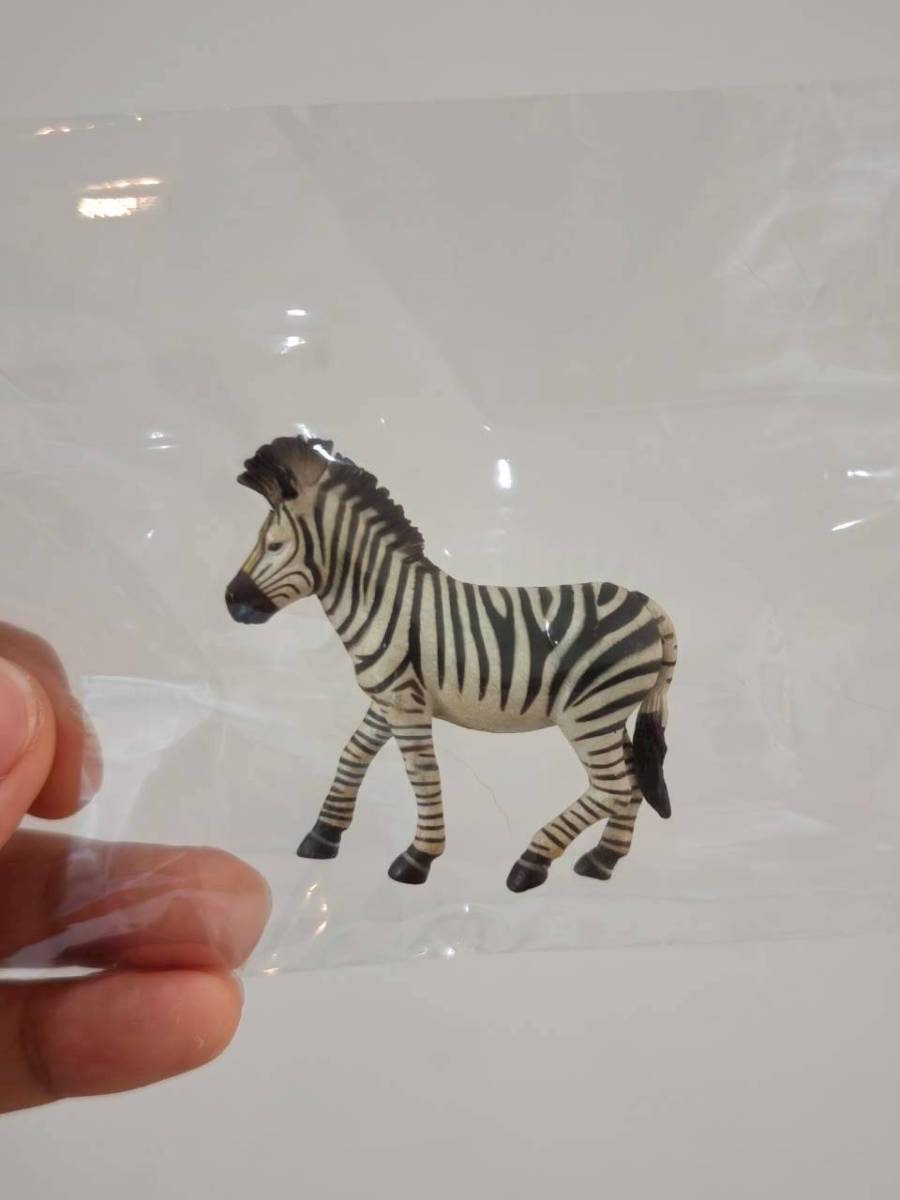 Animal