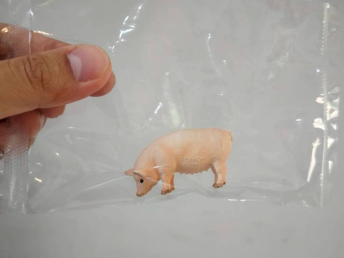 Animal