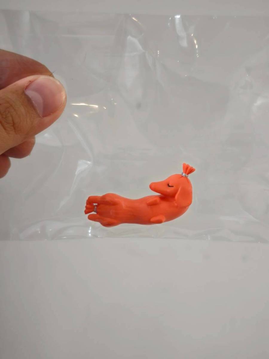 Animal