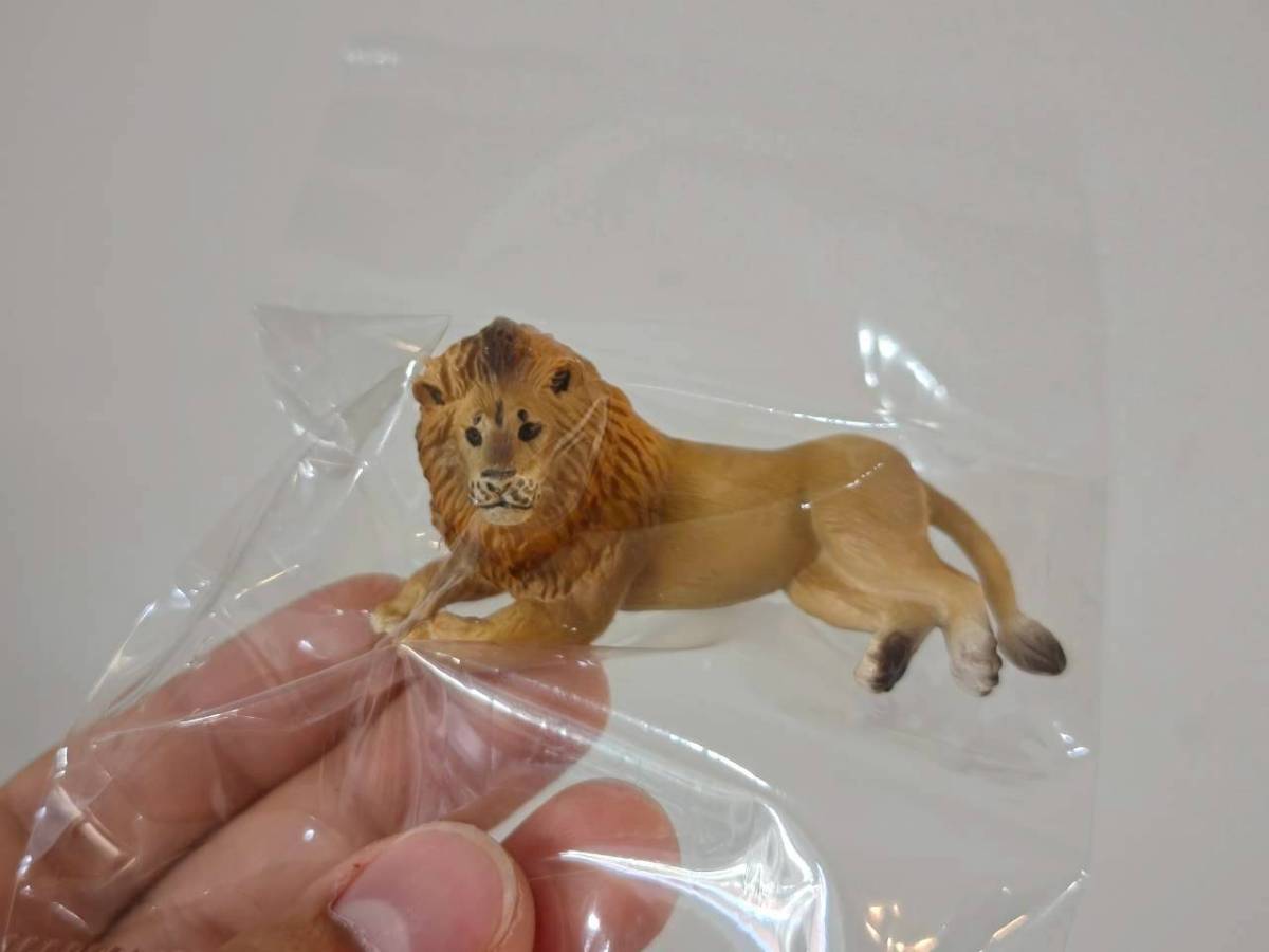 Animal