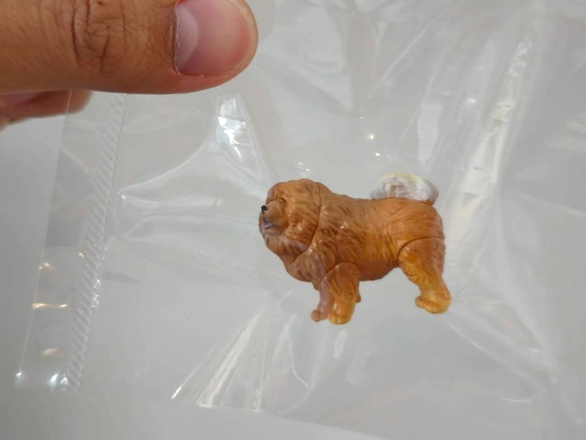 Animal